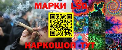 гидропоника Будённовск
