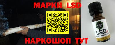 гидропоника Будённовск