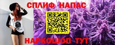 гидропоника Будённовск