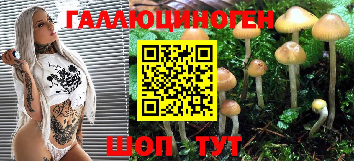 Галлюциногенные грибы MAGIC MUSHROOMS Реутов